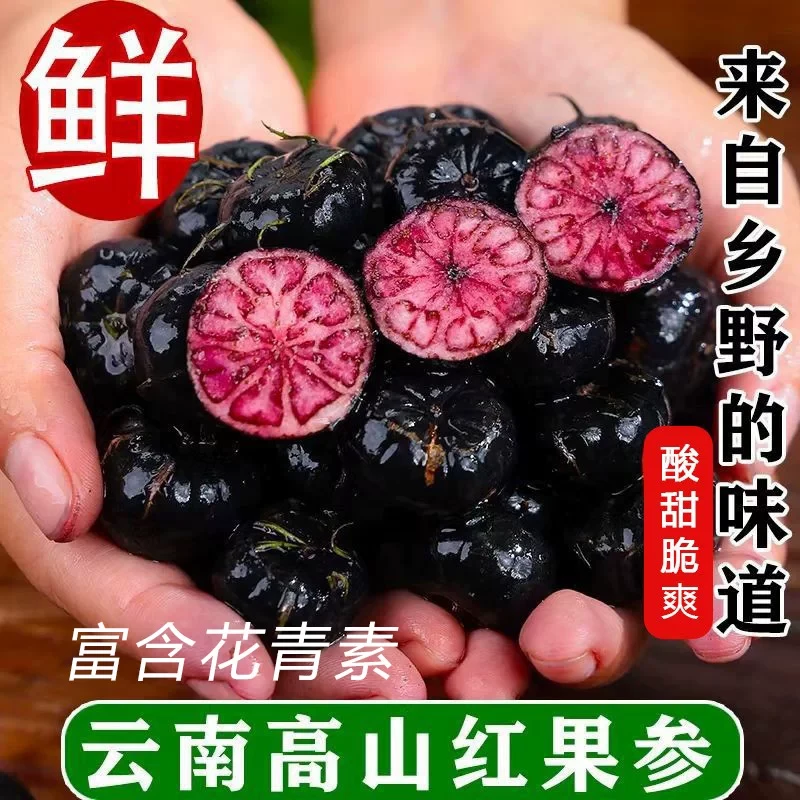 云南文山红果参(蜘蛛果,算盘果),高山种植,新奇水果