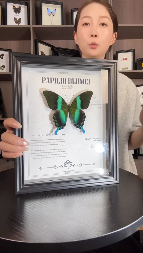 实木竖款爱神凤蝶（蝴蝶装饰画A4框）