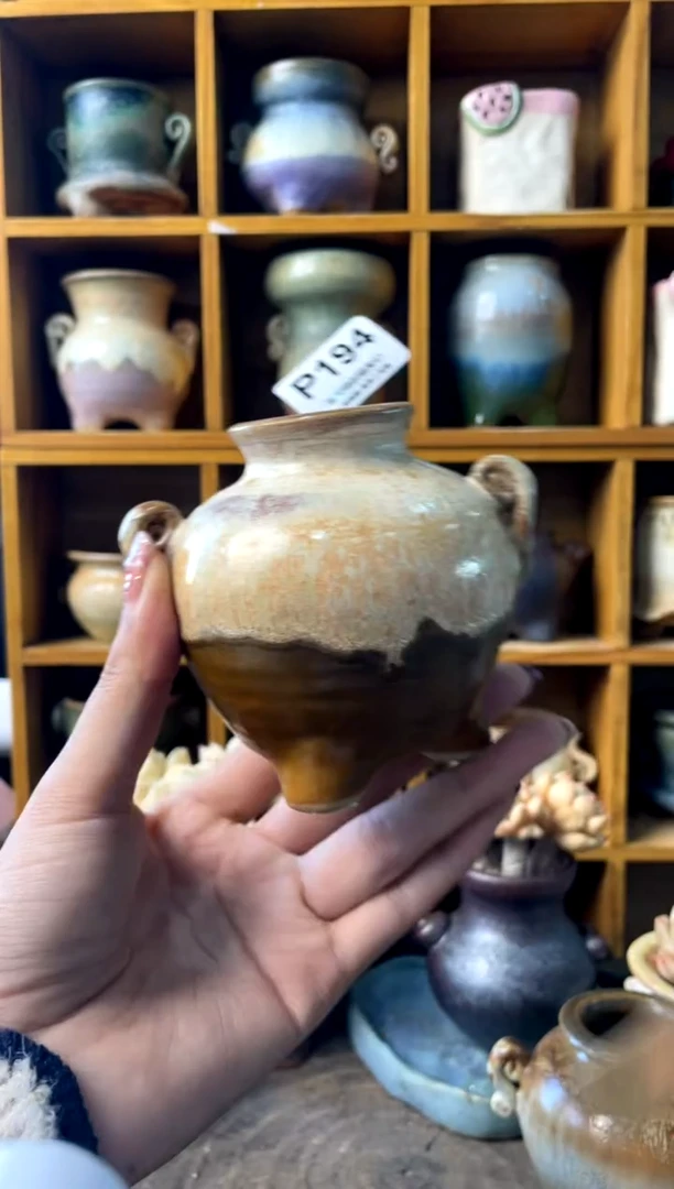 194内口3【多肉花盆多肉盆】