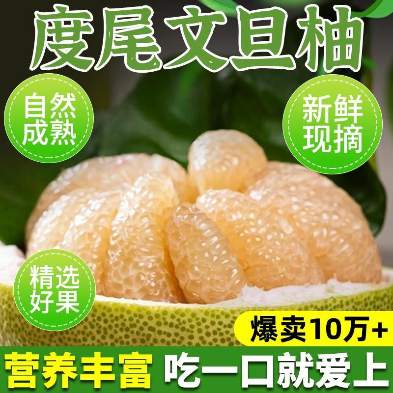 （礼盒装）度尾三十年老树文旦柚新鲜饱满爆汁当季水果
