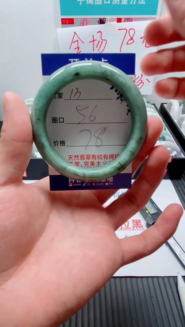 未镶嵌手镯翡翠13