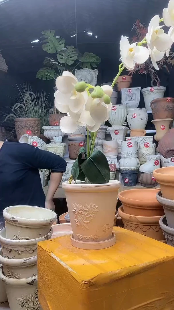 【闪购商品】缸1套13*13（红白）陶香草送陶土托