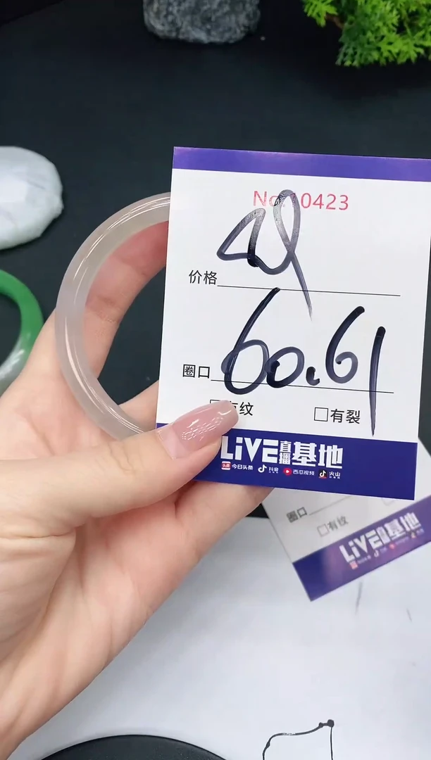未镶嵌手镯翡翠10423