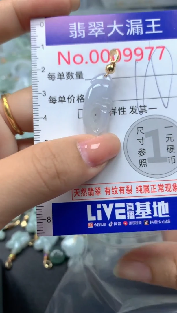 颈饰未镶嵌翡翠9977
