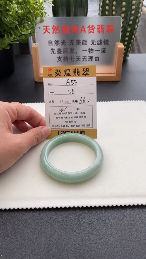 未镶嵌手镯翡翠56圈口 编码B55