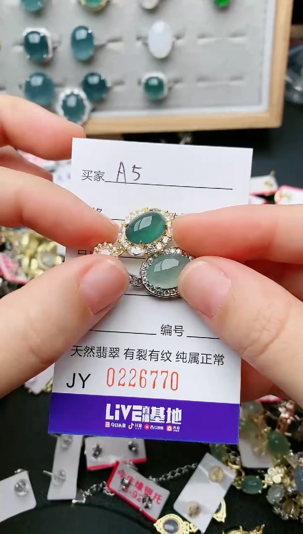 翡翠银S925镶嵌颈饰....