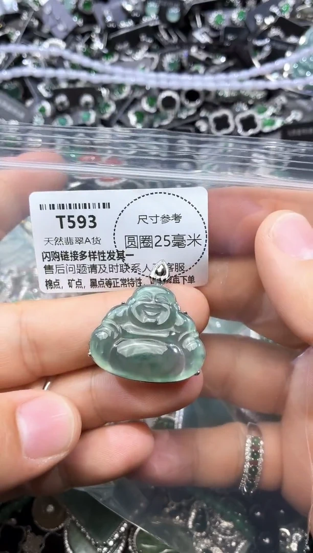 翡翠未镶嵌颈饰T593吊坠