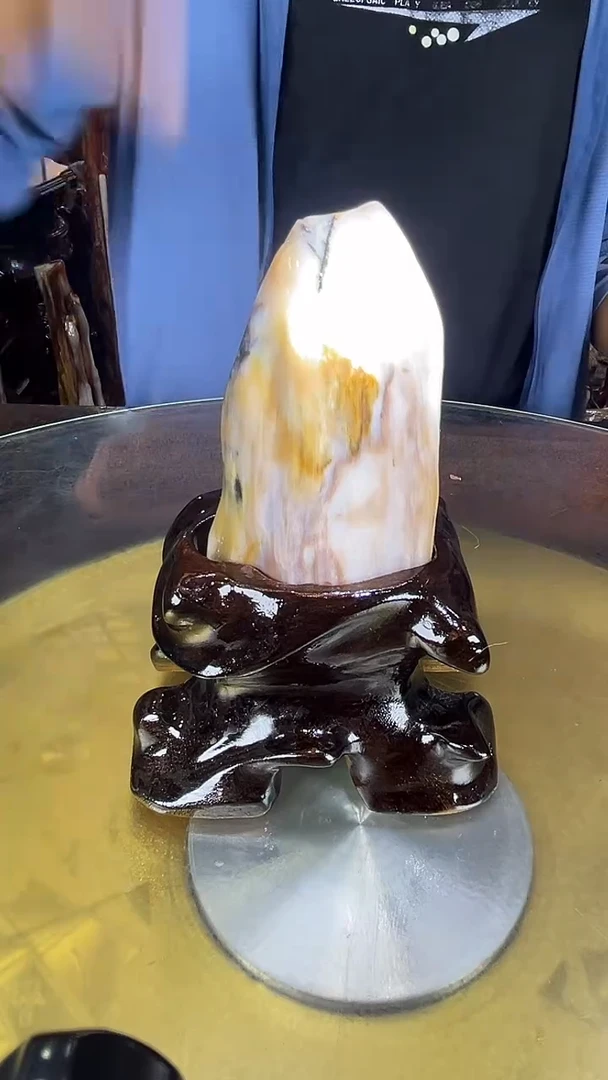 未镶嵌珠宝奇石硅化玉缅甸天然树化玉摆件