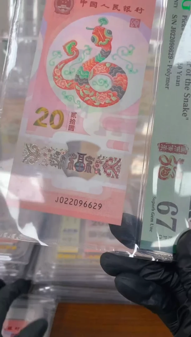 塑料2025蛇钞 真钞 评价封装 单张