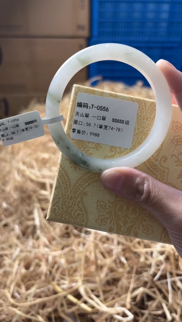 未镶嵌手镯石英质玉T-0556