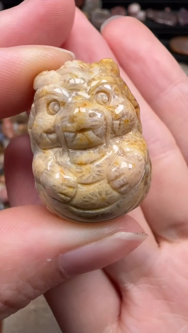 硅化珊瑚（珊瑚玉）未镶嵌颈饰787