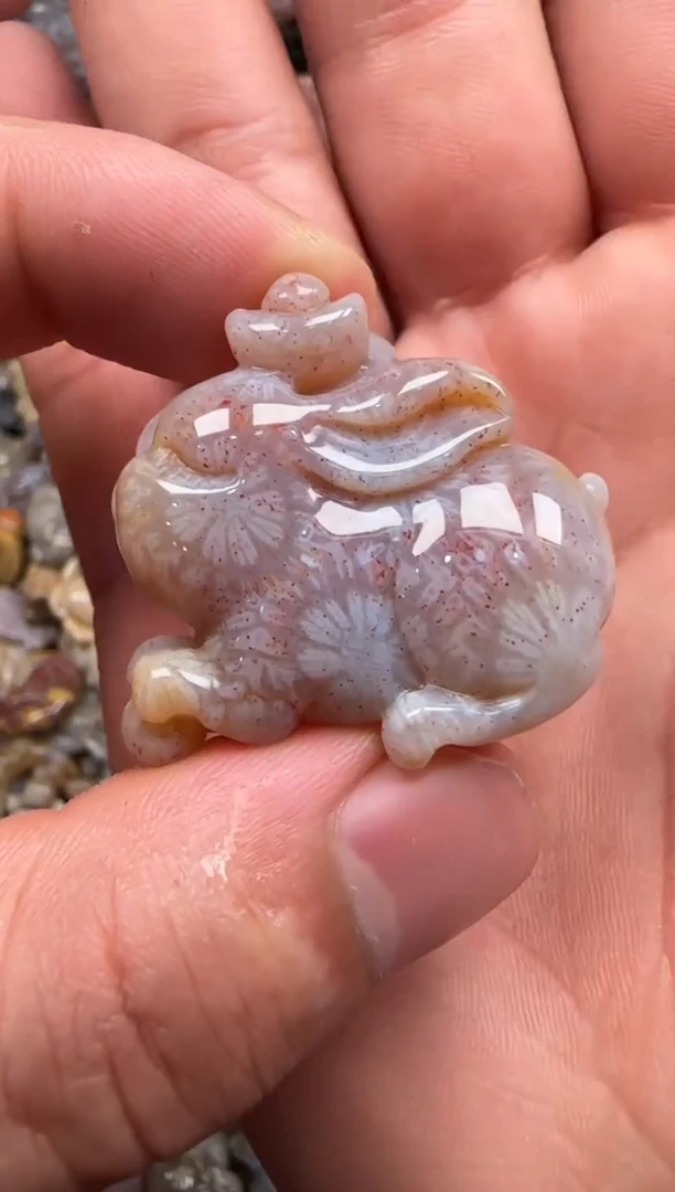 【闪购商品】硅化珊瑚（珊瑚玉）颈饰未镶嵌577