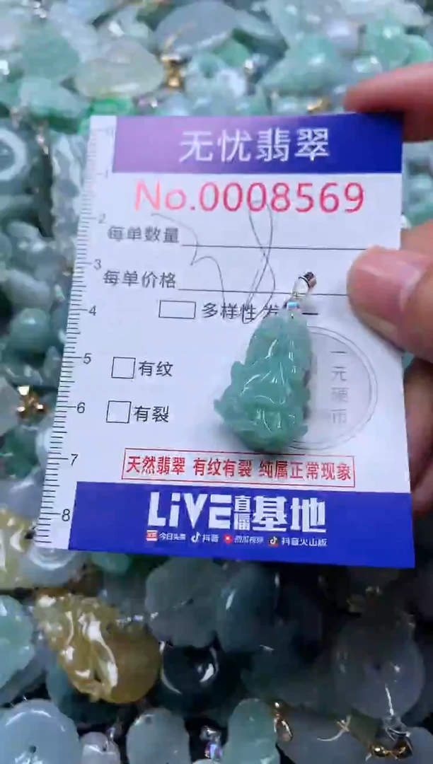 颈饰未镶嵌翡翠8569