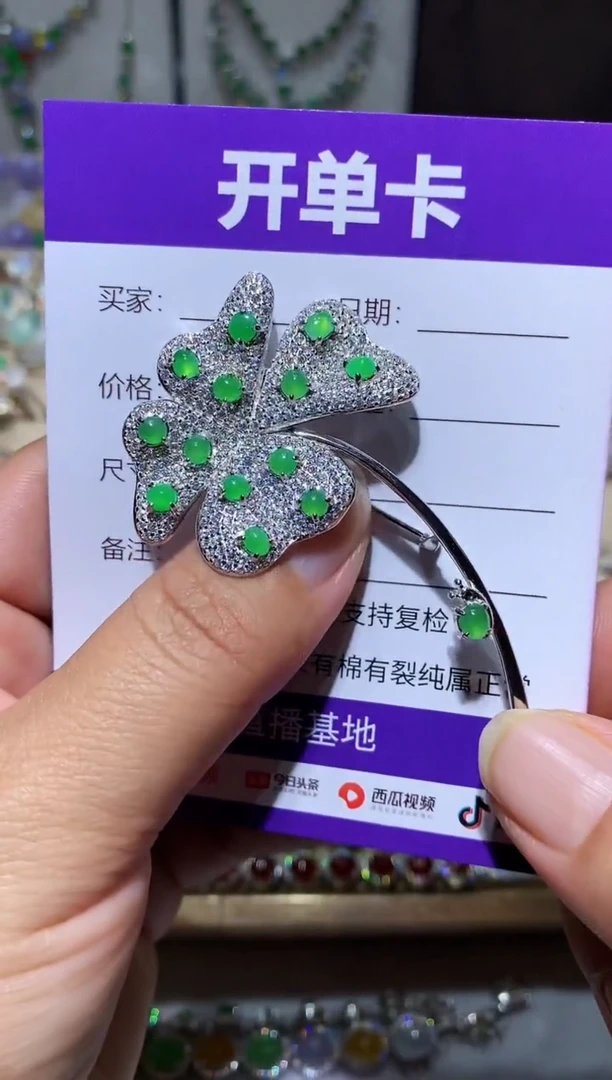 【闪购商品】翡翠颈饰未镶嵌胸针