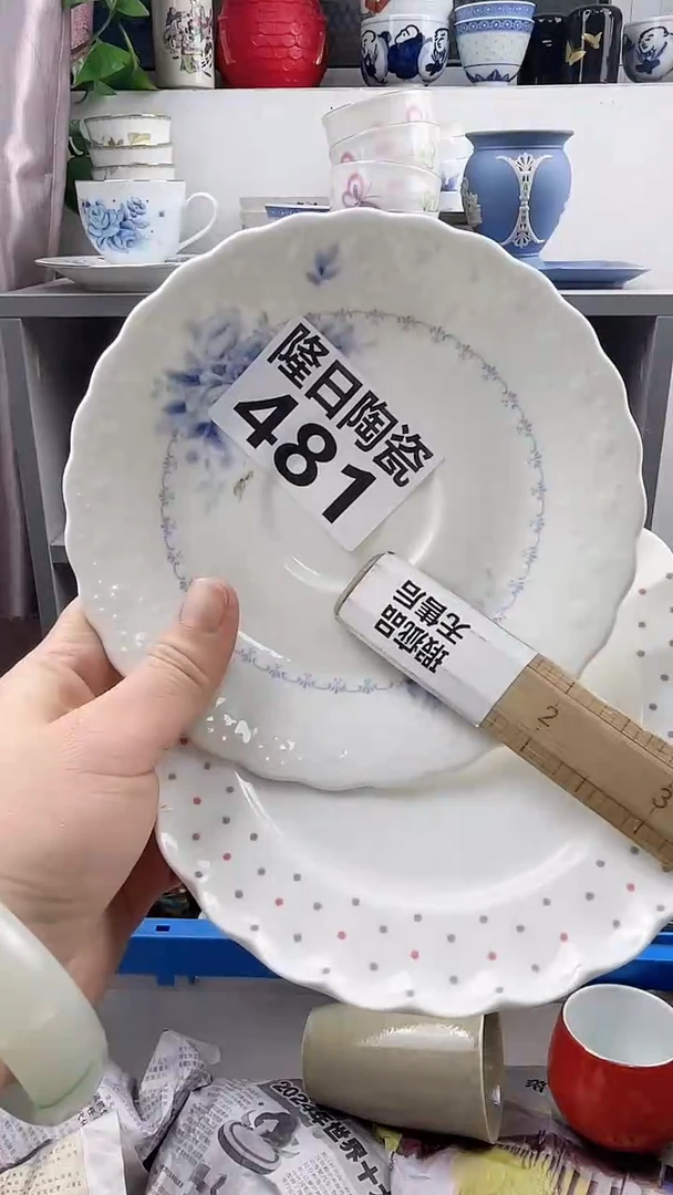 【闪购商品】瓷片481longritaoci