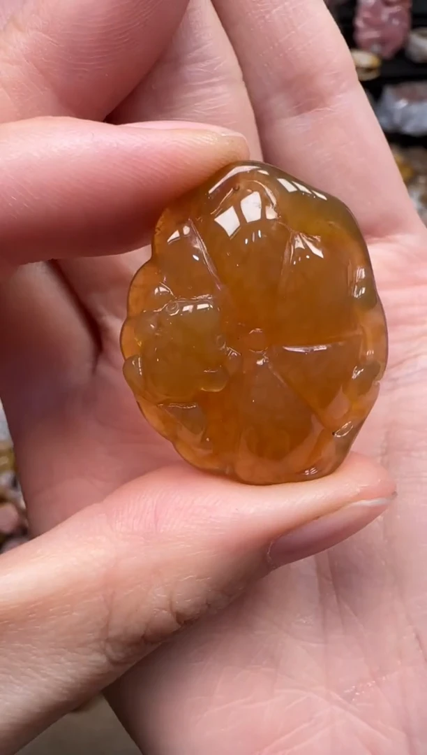 颈饰未镶嵌硅化珊瑚（珊瑚玉）393