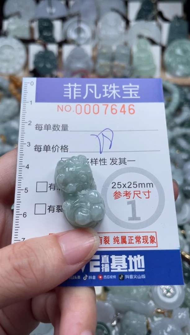 翡翠未镶嵌颈饰00..7646