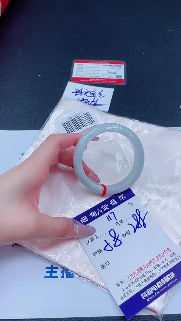 未镶嵌手镯翡翠288