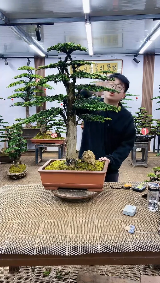 【闪购商品】一物一拍，所见即所得