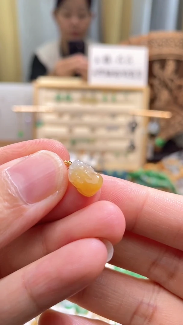 翡翠未镶嵌颈饰貔貅滴流