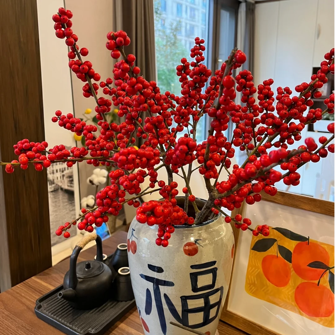 【源头优选老六】天物冬青  任意两单升级快递 发货后不支持退款