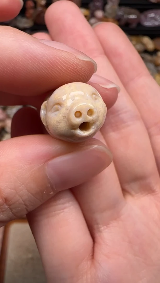 硅化珊瑚（珊瑚玉）未镶嵌颈饰069