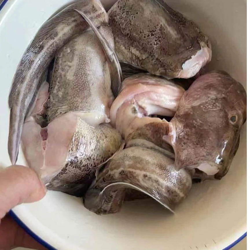 【无售后，看好在下单】 4斤【捡出残，破肚鲶鱼】【顺丰包邮】