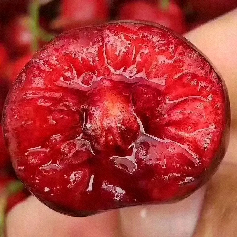 【新疆包邮】美早大樱桃大连空运新鲜应季2JD一盒毛重半公斤