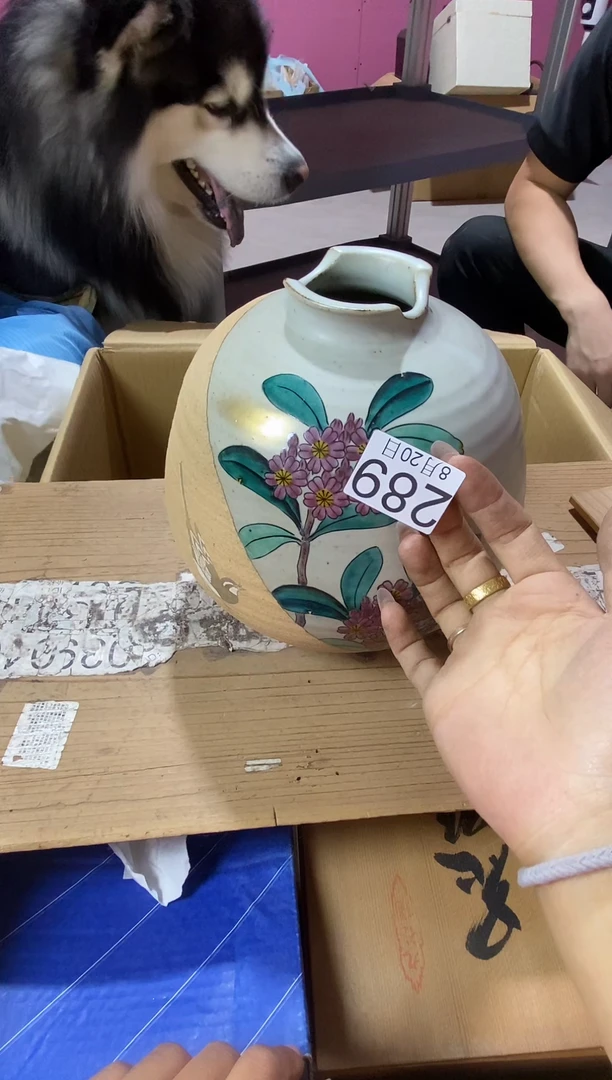 瓷片Y****w11111111111