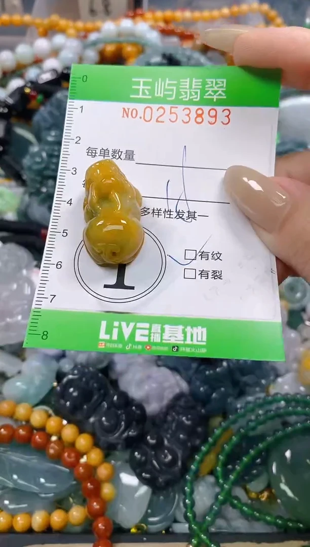 颈饰未镶嵌翡翠闪购0253893