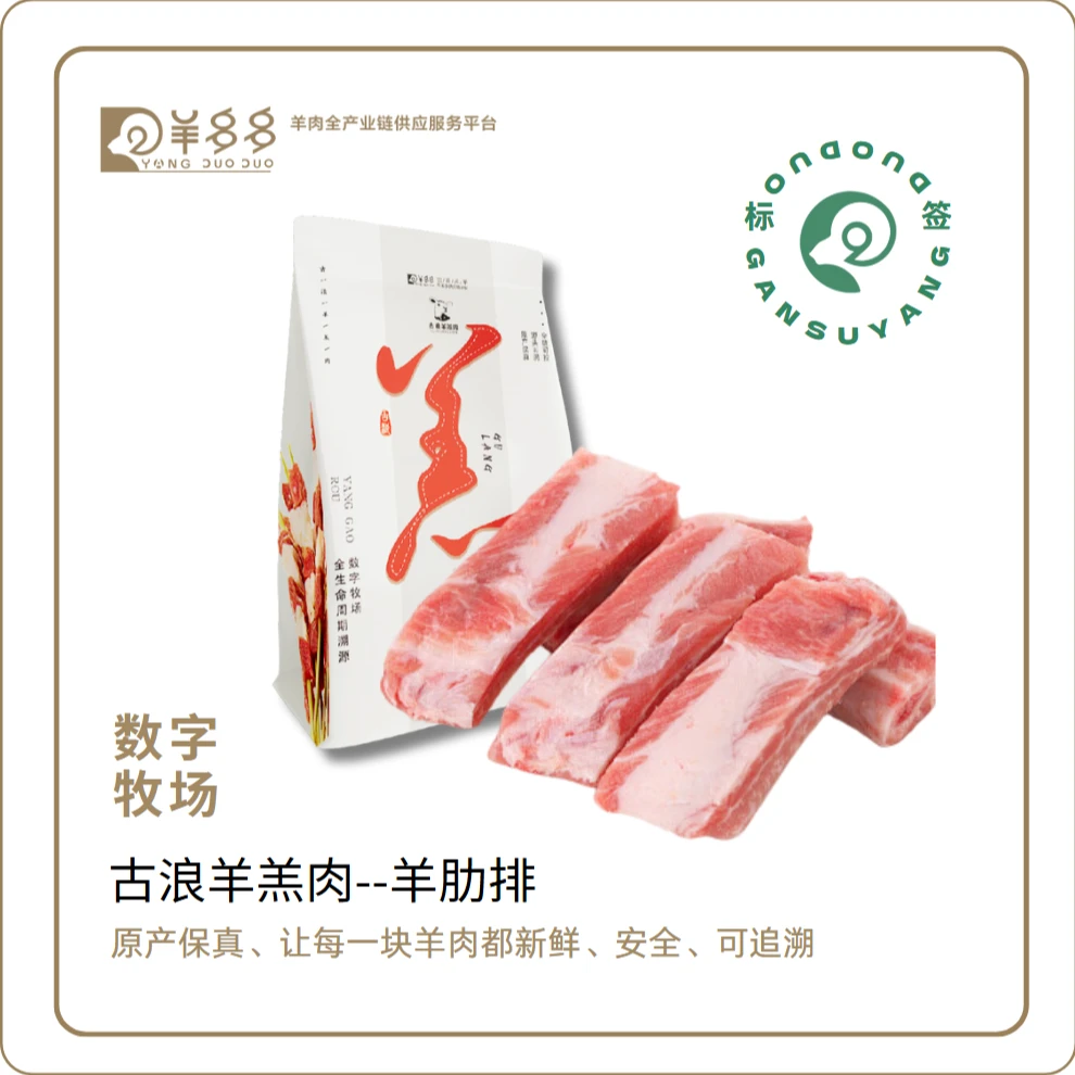 西部羊多多 古浪羊肉 羊排 3斤
