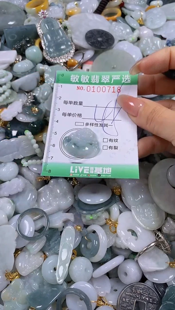 【闪购商品】翡翠颈饰未镶嵌闪购0100718