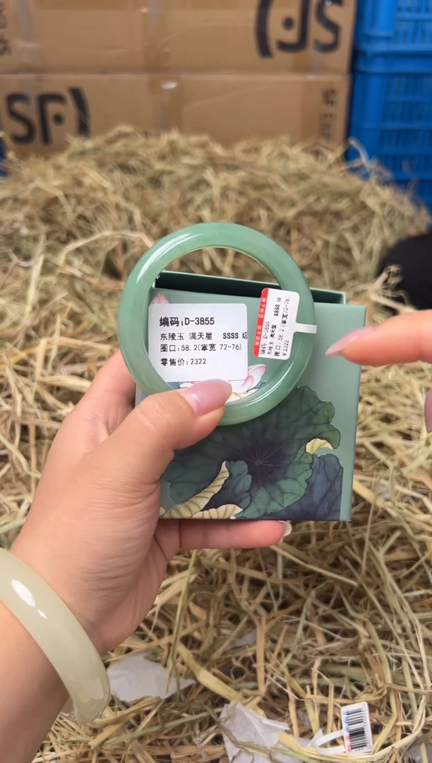 未镶嵌手镯石英质玉D-3855