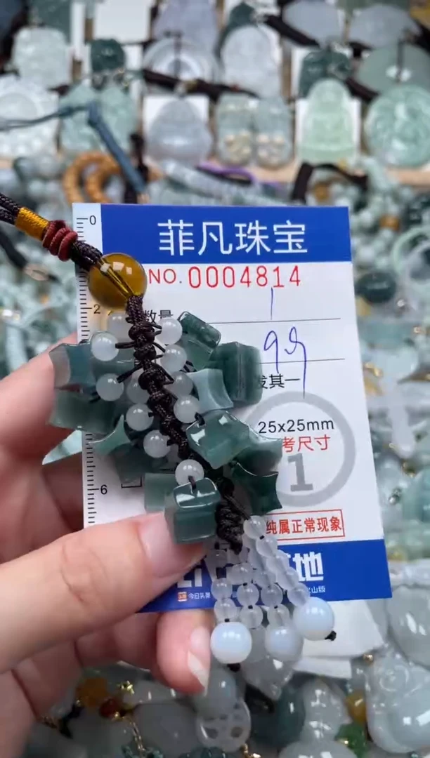 翡翠未镶嵌颈饰00..4814