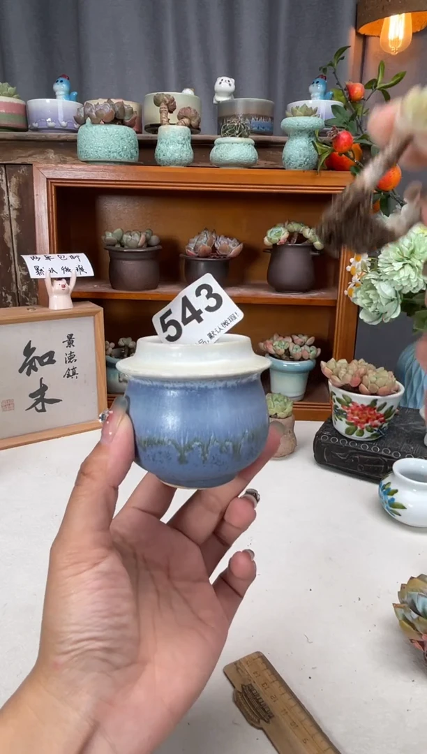 瓷片543知木小芳花盆编号