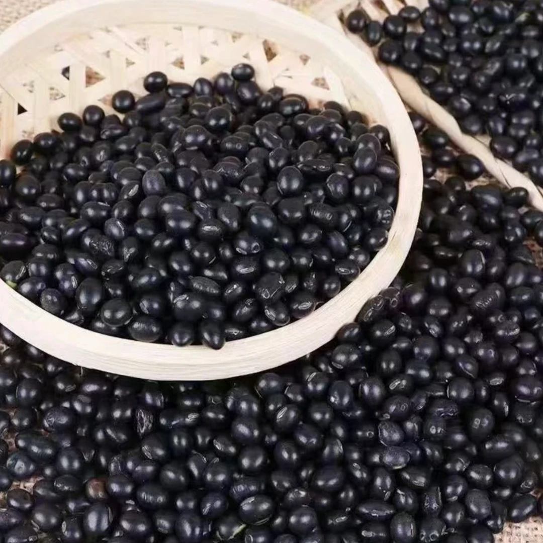 黑豆 湖南常德农家自种黑豆 颗粒饱满