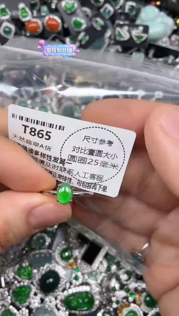 颈饰未镶嵌翡翠T865戒指