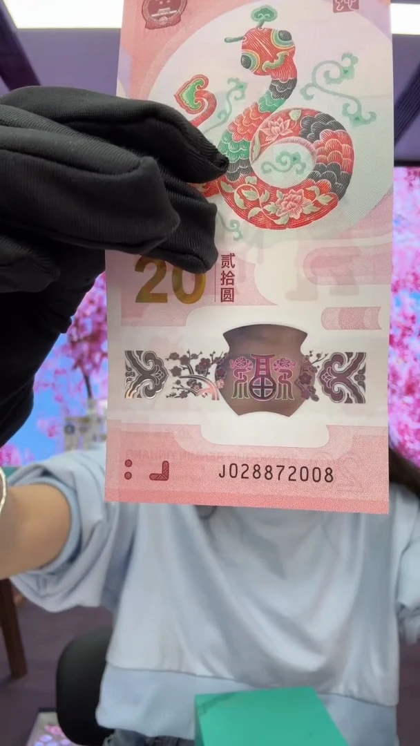 塑料蛇钞一张028872008