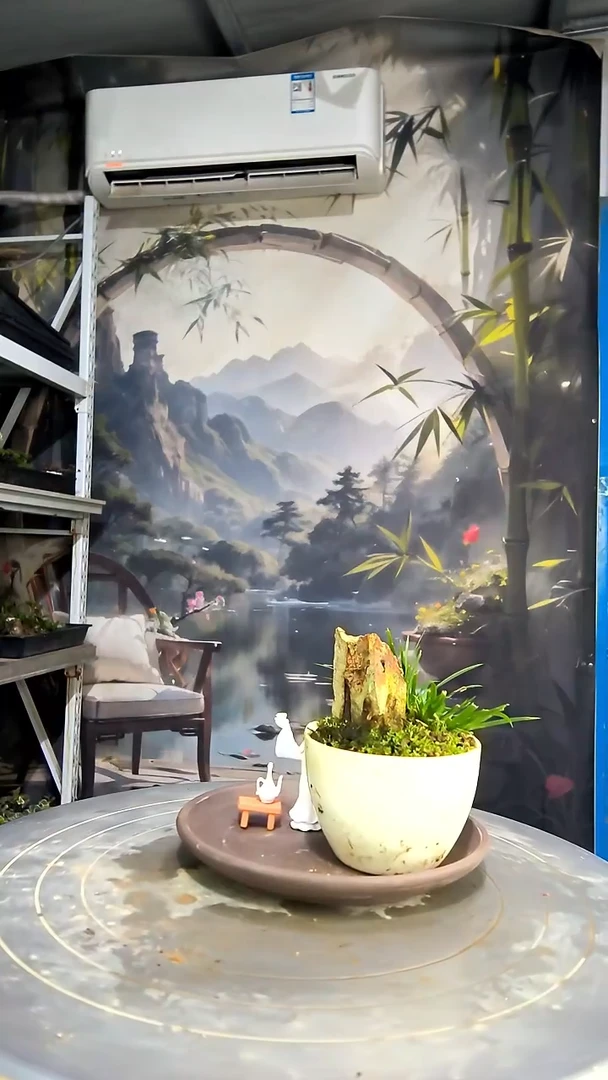 用****0中青园艺一物一拍花283