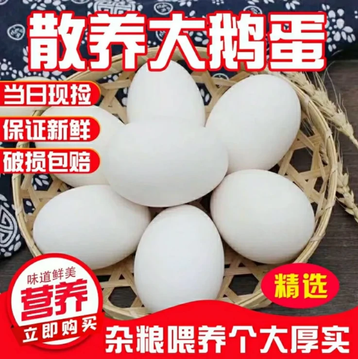 【20枚鹅蛋】新鲜现捡正宗农家谷饲散养土鹅蛋营养健康整箱破损赔付