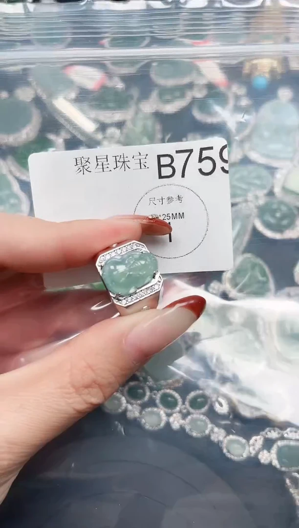 【闪购商品】翡翠颈饰未镶嵌赠皮绳759