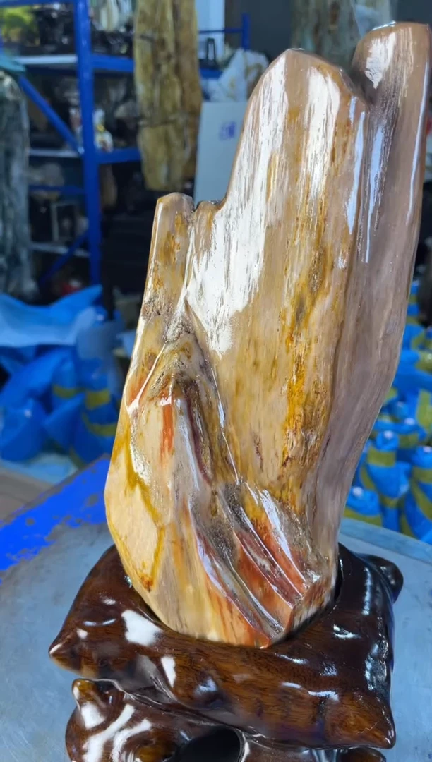 未镶嵌摆件硅化玉16