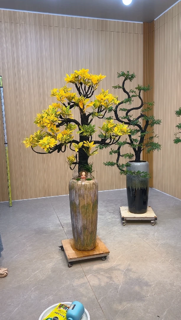 无花朵诏****社洒金珊瑚洒金珊瑚