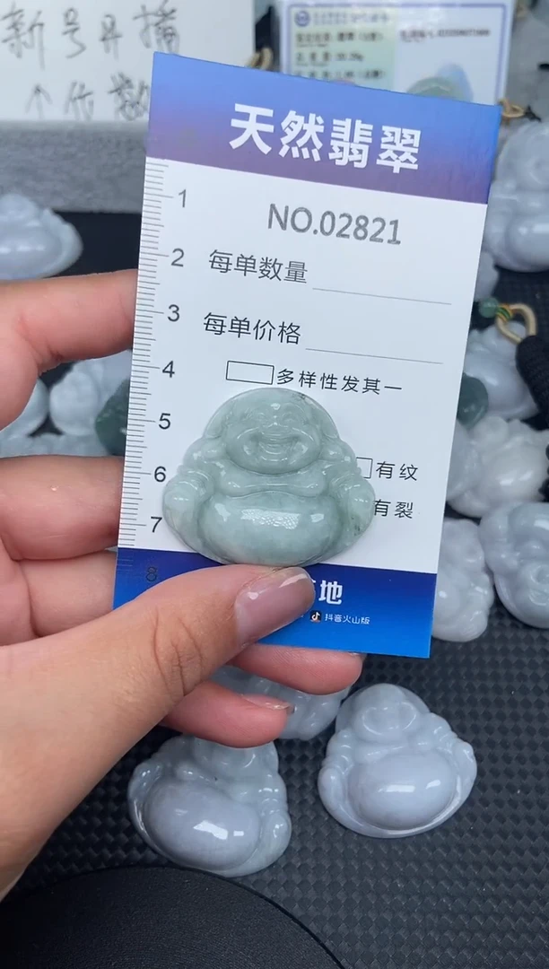 颈饰未镶嵌翡翠纯天然A货翡翠2821