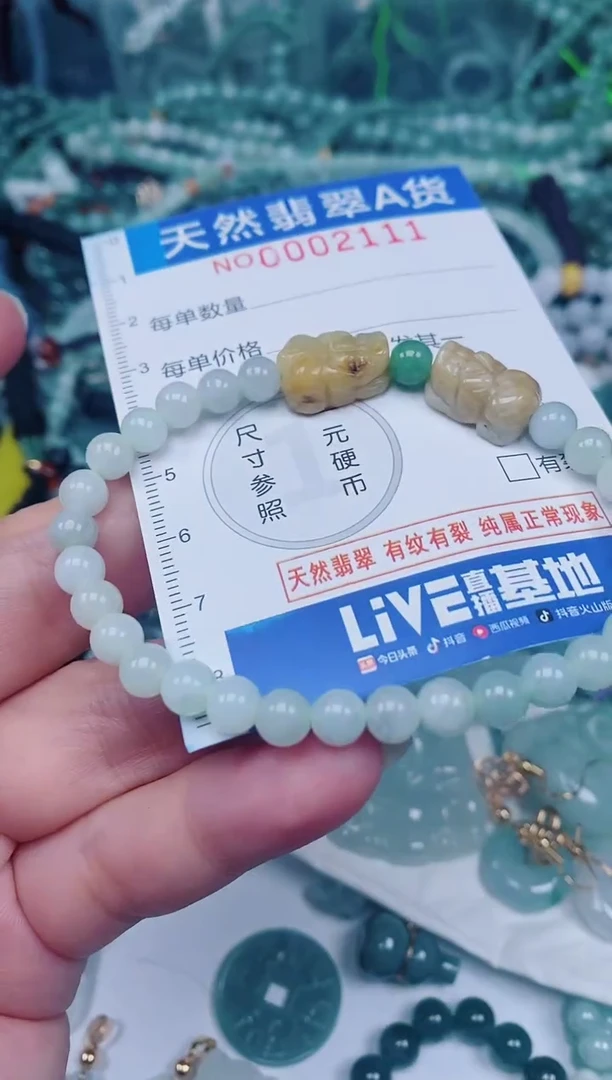 颈饰未镶嵌翡翠00002111