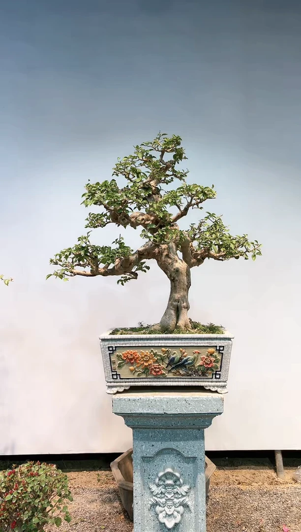 【闪购商品】aa910