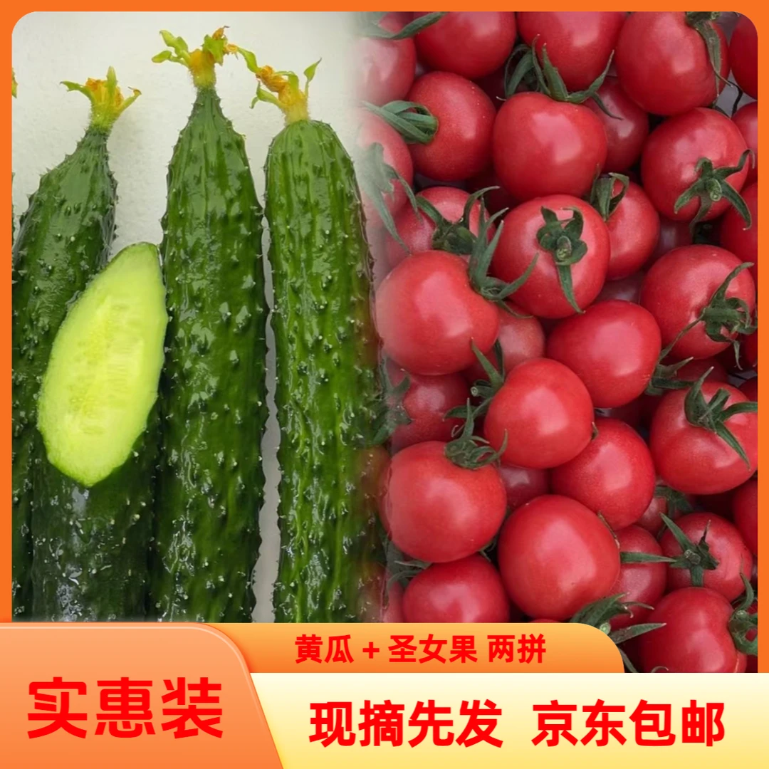 圣女果 黄瓜 双拼6斤装   现摘现发 京东包邮