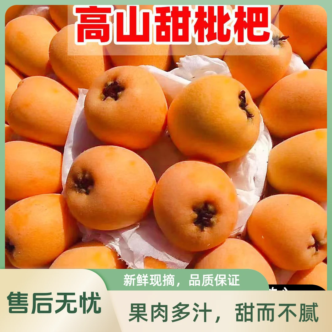 【顺丰包邮】四川大五星鲜果枇杷新鲜水果高山香甜琵琶果2-4.5斤