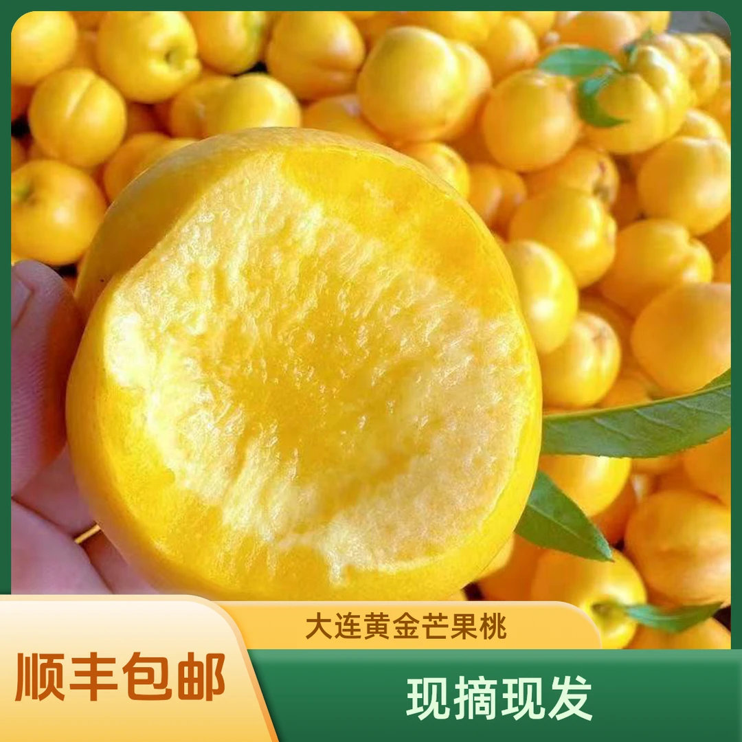 【顺丰包邮】大连黄金蜜桃芒果桃脆桃甜桃应季水果现摘现发产地直发
