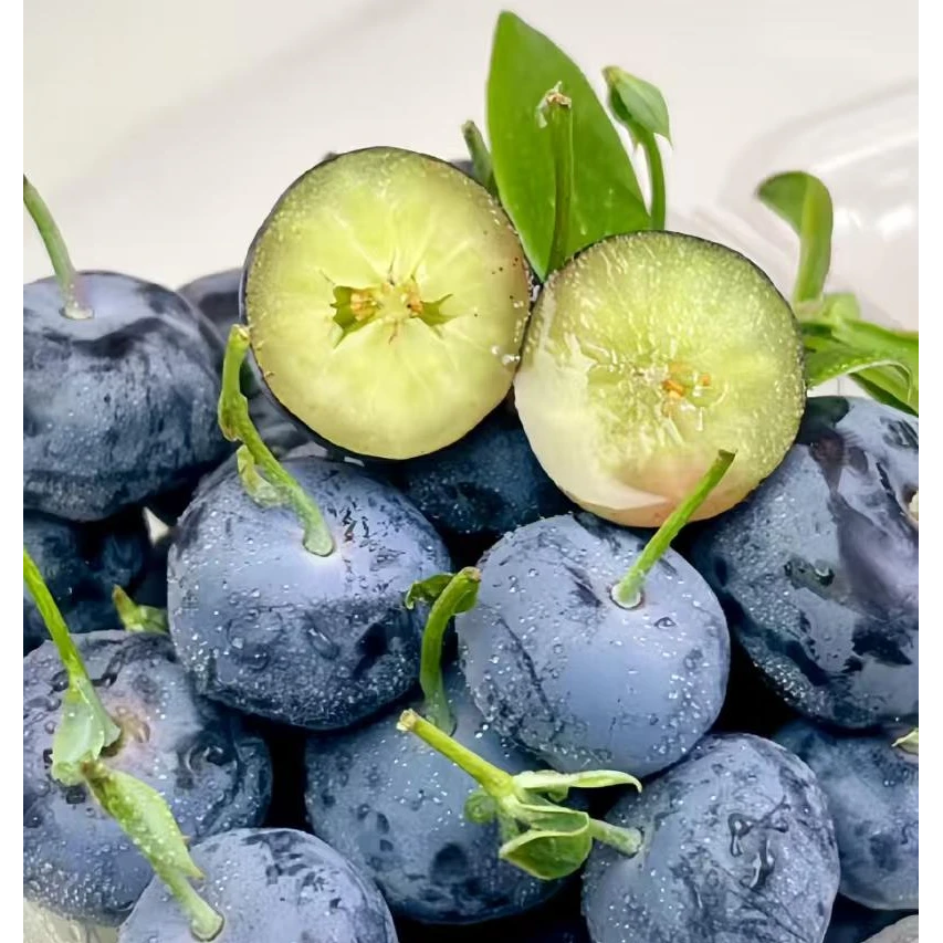 【小时达】云南爱莓庄蓝莓4-12盒装 一盒125g 果径18mm~达达闪送1-2小时达